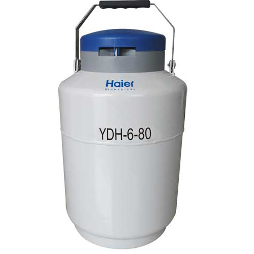 18-2、YDH-6-80.jpg