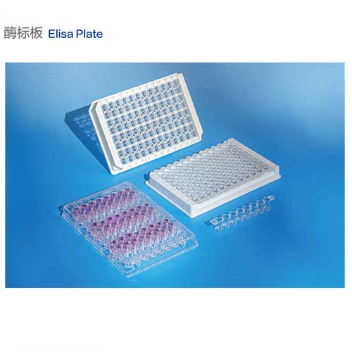 酶標(biāo)板（不帶蓋）-圖1.jpg